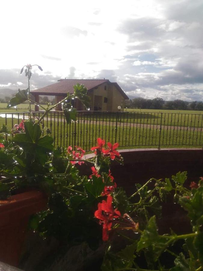 Agriturismo Oasi Del Pianettino 캄파냐티코 외부 사진