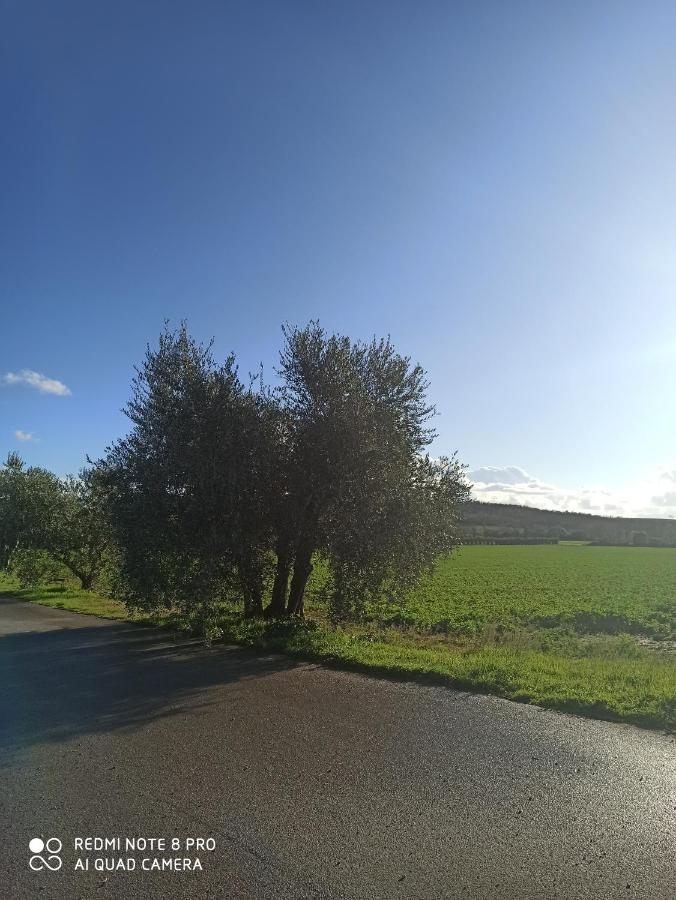 Agriturismo Oasi Del Pianettino 캄파냐티코 외부 사진